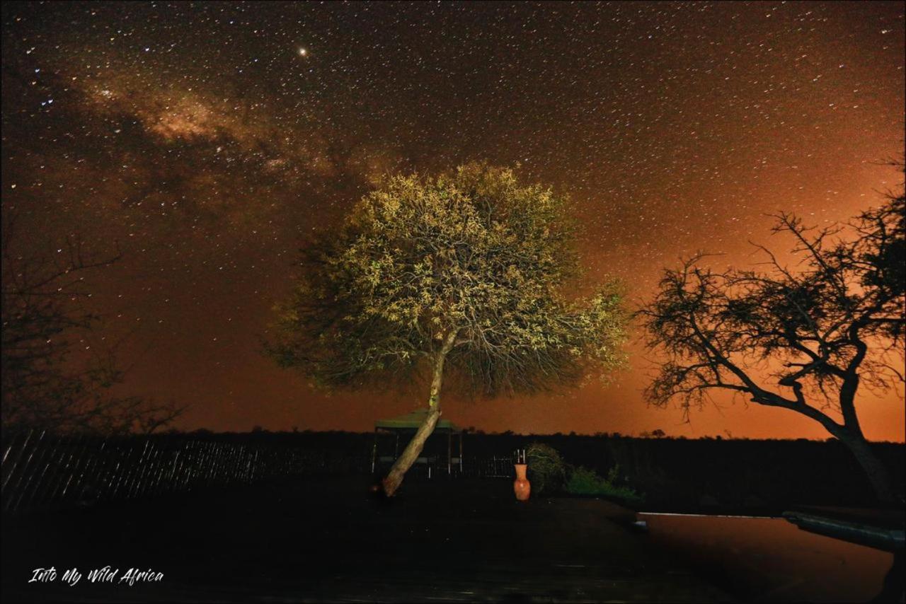 Muweti Bush Lodge Grietjie Game Reserve 외부 사진