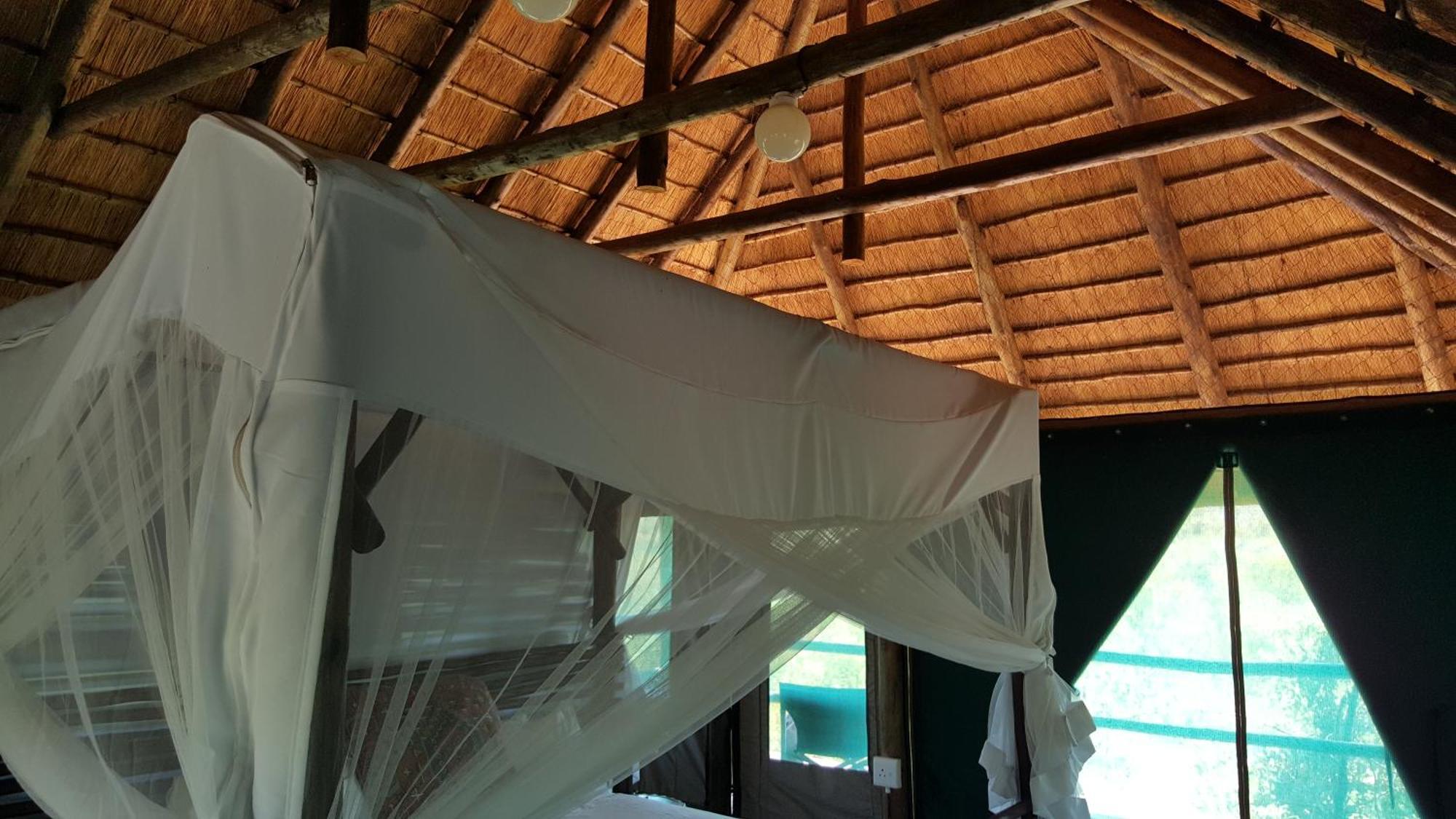 Muweti Bush Lodge Grietjie Game Reserve 외부 사진