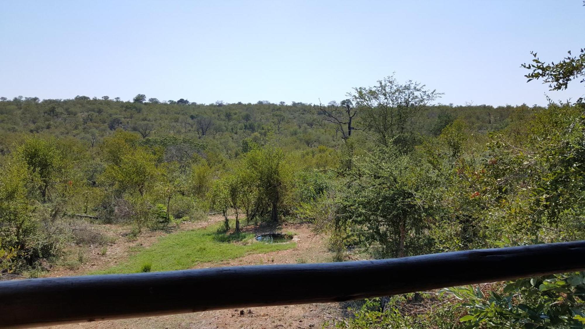 Muweti Bush Lodge Grietjie Game Reserve 객실 사진