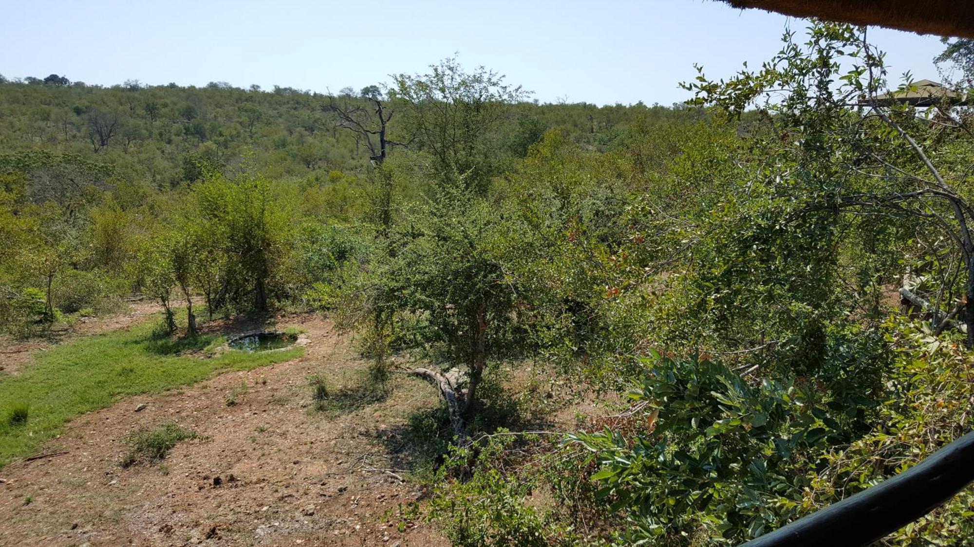 Muweti Bush Lodge Grietjie Game Reserve 객실 사진