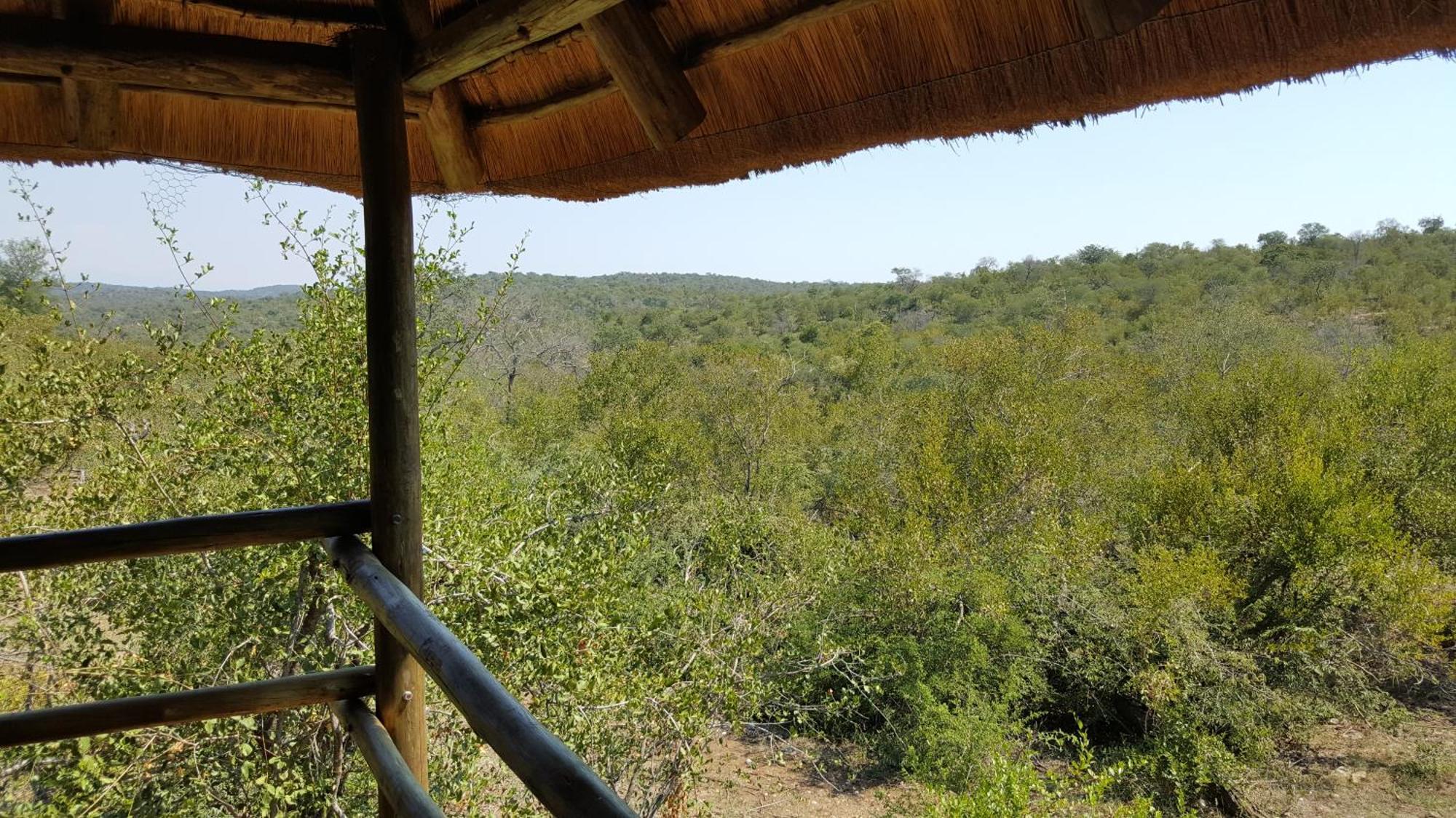 Muweti Bush Lodge Grietjie Game Reserve 객실 사진