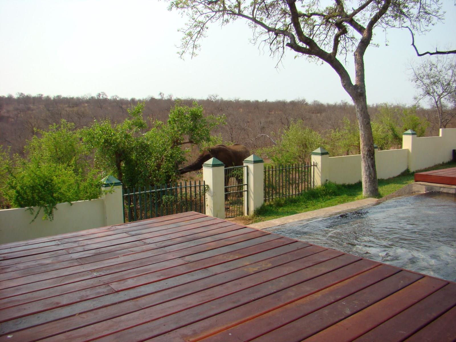 Muweti Bush Lodge Grietjie Game Reserve 외부 사진