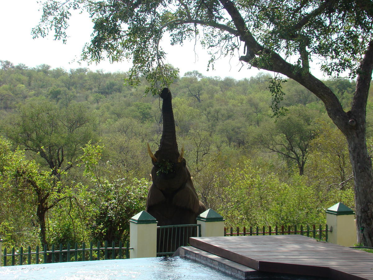 Muweti Bush Lodge Grietjie Game Reserve 외부 사진